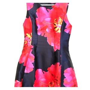 Boohoo navy and pink floral flare mini dress